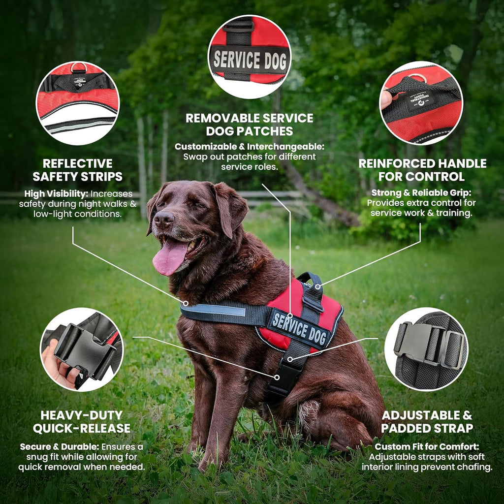 Service Dog Vest with Hook and Loop Straps & Matching Leash Set - Harnesses from XXS to XXL - Service Dog Harness Features Reflective Patch and Comfortable Mesh Design (Pink, XXS) | Durable & Adjustable Vest for Dog, Reflective Straps, Removable Patches,