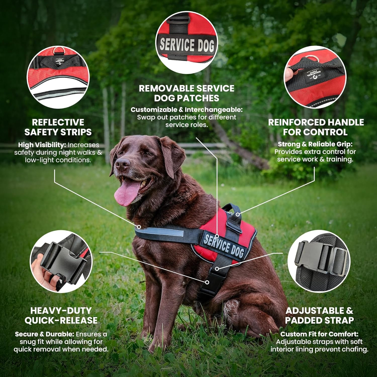 Service Dog Vest with Hook and Loop Straps & Matching Leash Set - Harnesses from XXS to XXL - Service Dog Harness Features Reflective Patch and Comfortable Mesh Design (Pink, XXS) | Durable & Adjustable Vest for Dog, Reflective Straps, Removable Patches,