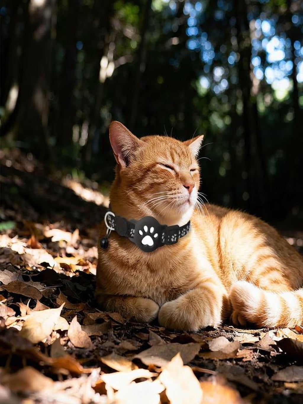 GPS Pet Tracker Collar for Cats Waterproof No Monthly Fee Advanced Tracking Device for Pet Safety