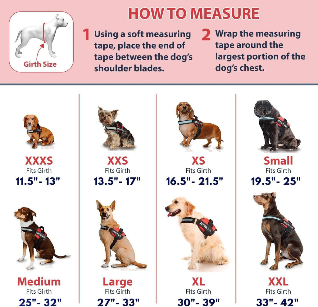 Service Dog Vest with Hook and Loop Straps & Matching Leash Set - Harnesses from XXS to XXL - Service Dog Harness Features Reflective Patch and Comfortable Mesh Design (Pink, XXS) | Durable & Adjustable Vest for Dog, Reflective Straps, Removable Patches,