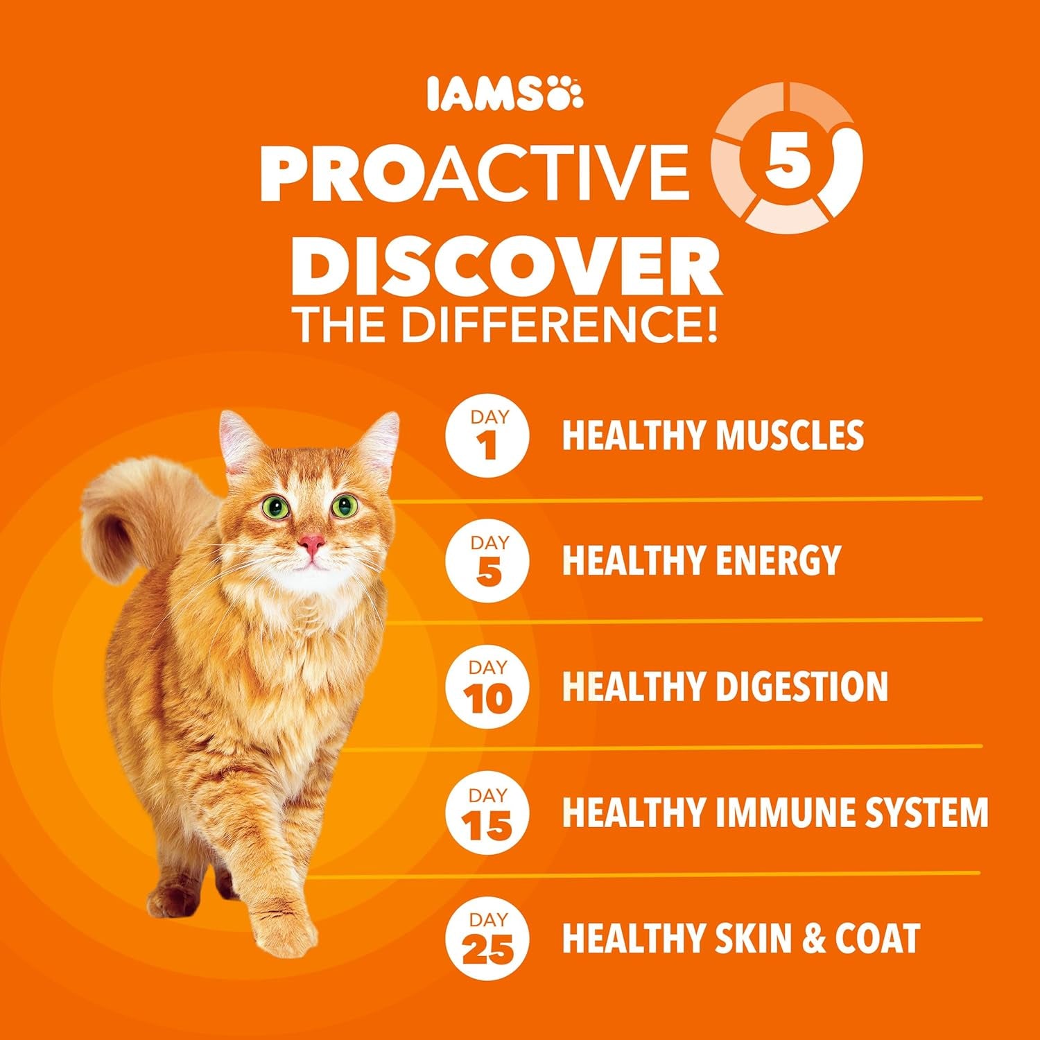 Proactive Health Healthy Adult Dry Cat Food, Chicken, 22 Lb | Veterinarian-Recommended, Real Chicken #1 Ingredient, Chicken & Egg Protein, Wholesome Grains for Energy, Supports Muscles