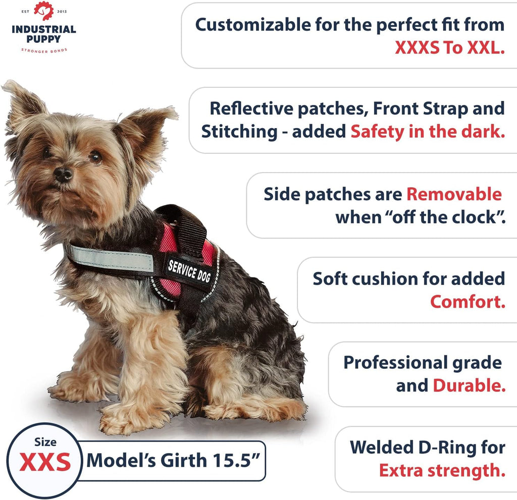 Service Dog Vest with Hook and Loop Straps & Matching Leash Set - Harnesses from XXS to XXL - Service Dog Harness Features Reflective Patch and Comfortable Mesh Design (Pink, XXS) | Durable & Adjustable Vest for Dog, Reflective Straps, Removable Patches,