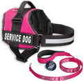 Service Dog Vest with Hook and Loop Straps & Matching Leash Set - Harnesses from XXS to XXL - Service Dog Harness Features Reflective Patch and Comfortable Mesh Design (Pink, XXS) | Durable & Adjustable Vest for Dog, Reflective Straps, Removable Patches,