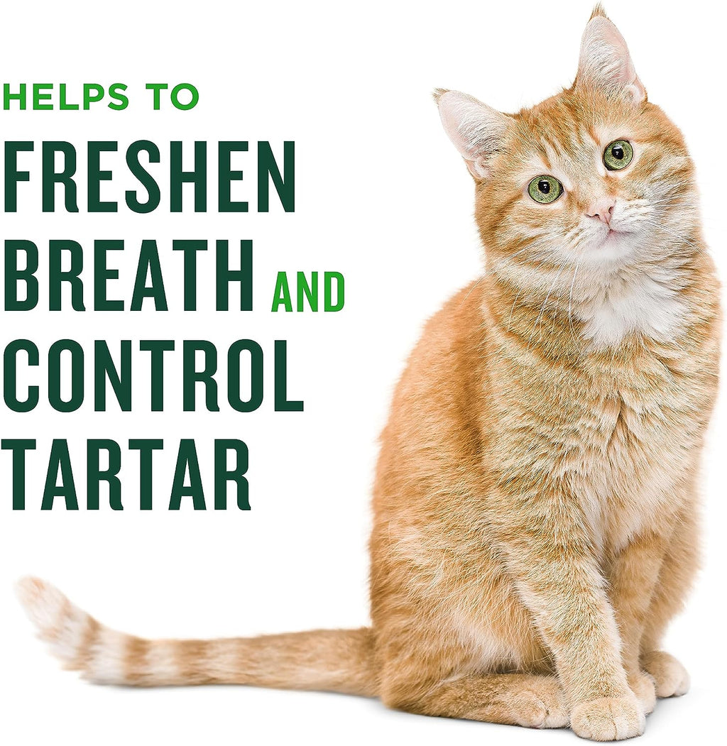 Dental Treats for Cats, (Chicken/Salmon) Flavored Treats for Cats, Freshens Breath and Controls Tartar, 2.5Oz | Affordable Dental Treat Alternative; Crunchy Texture Controls Tartar & Freshens Breath; No Wheat, Corn or Soy